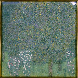 Rosiers sous les arbres